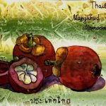 Mangostin, Tailand fruit