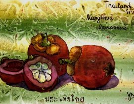 Mangostin, Tailand fruit