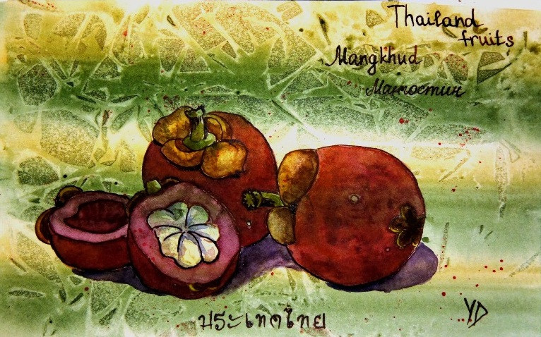 Mangostin, Tailand fruit