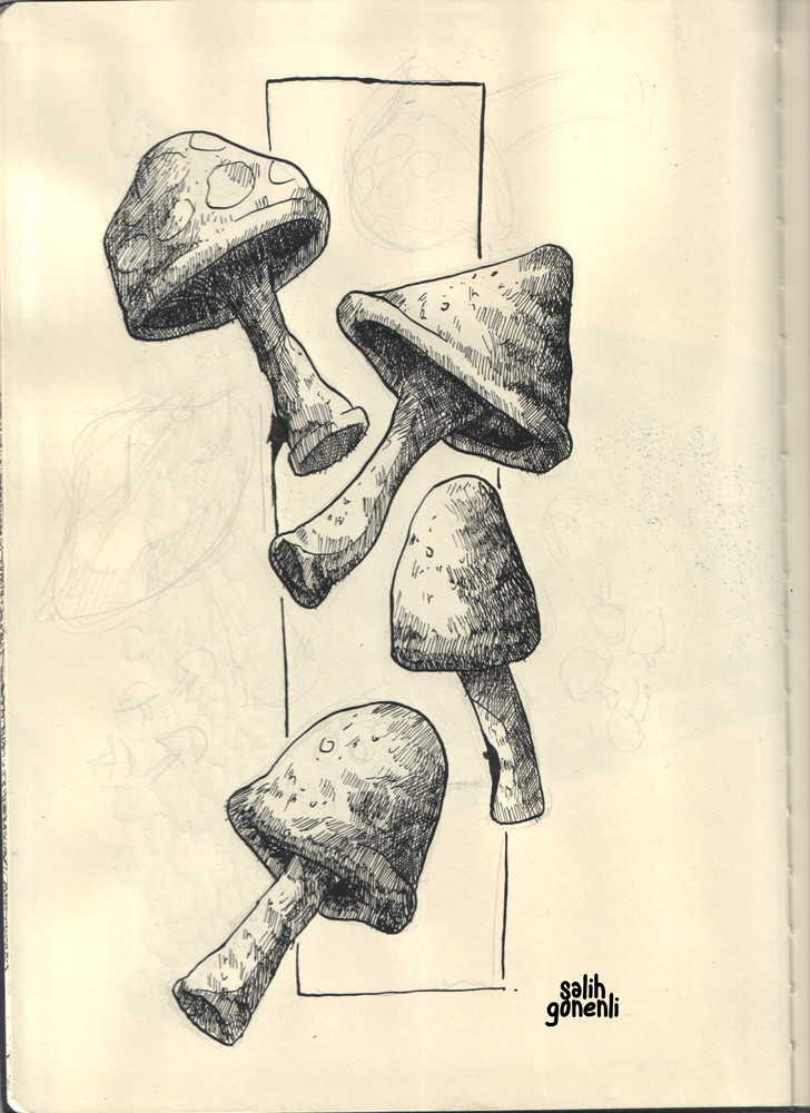 mushrooms