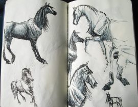 sketches #2