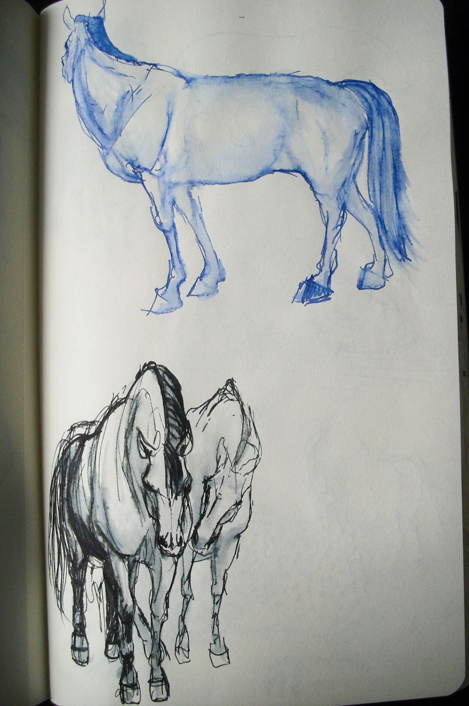 sketches #5