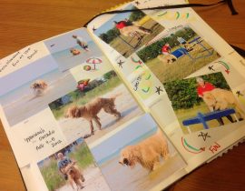 Dog Journal “Brogan the Barbet” French Water Dog