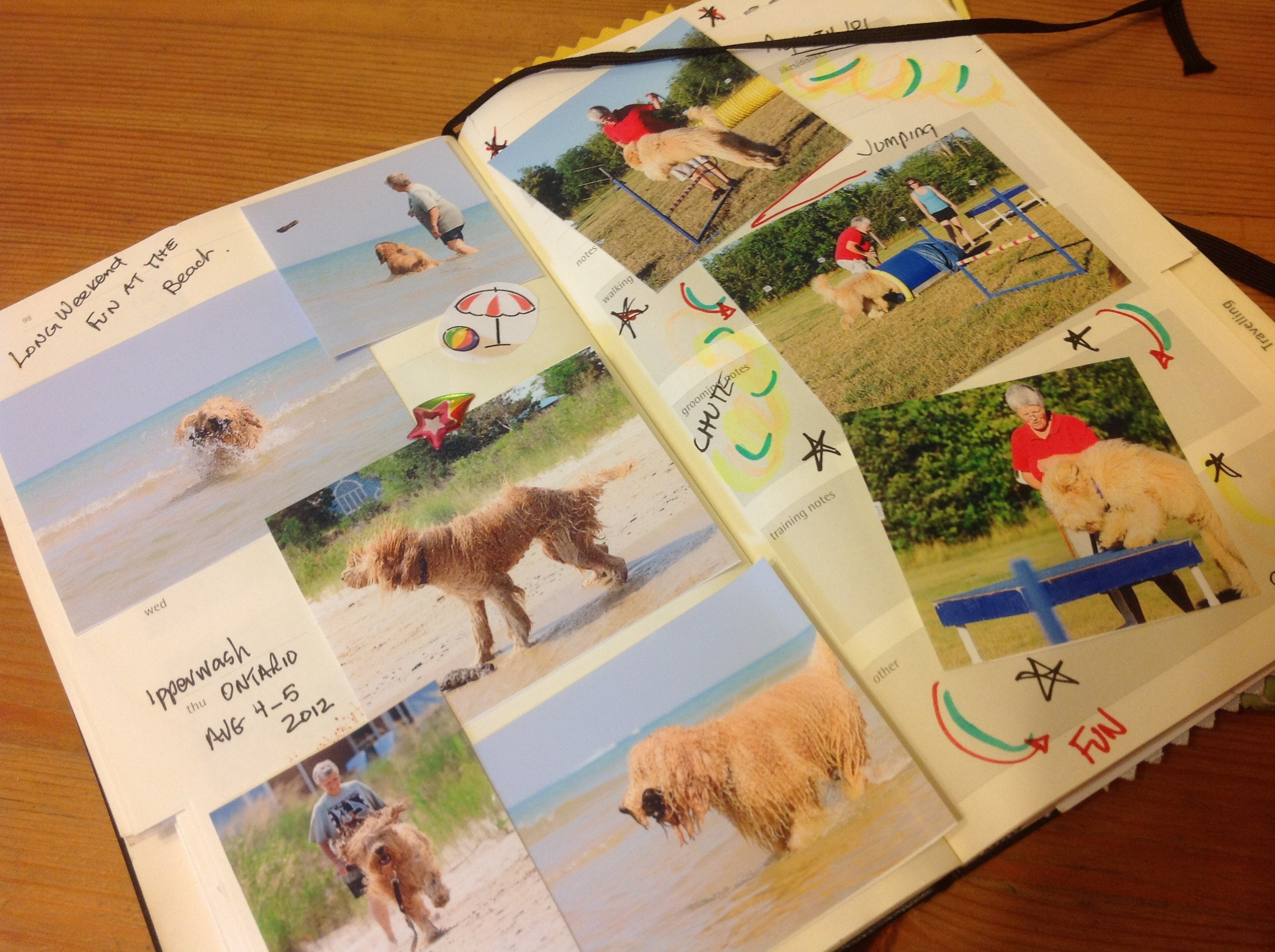 Dog Journal “Brogan the Barbet” French Water Dog