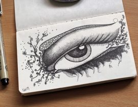 Eye