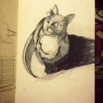 Cat study