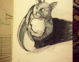 Cat study