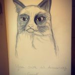 Grumpy Cat Study