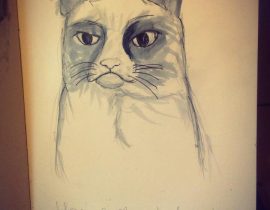 Grumpy Cat Study