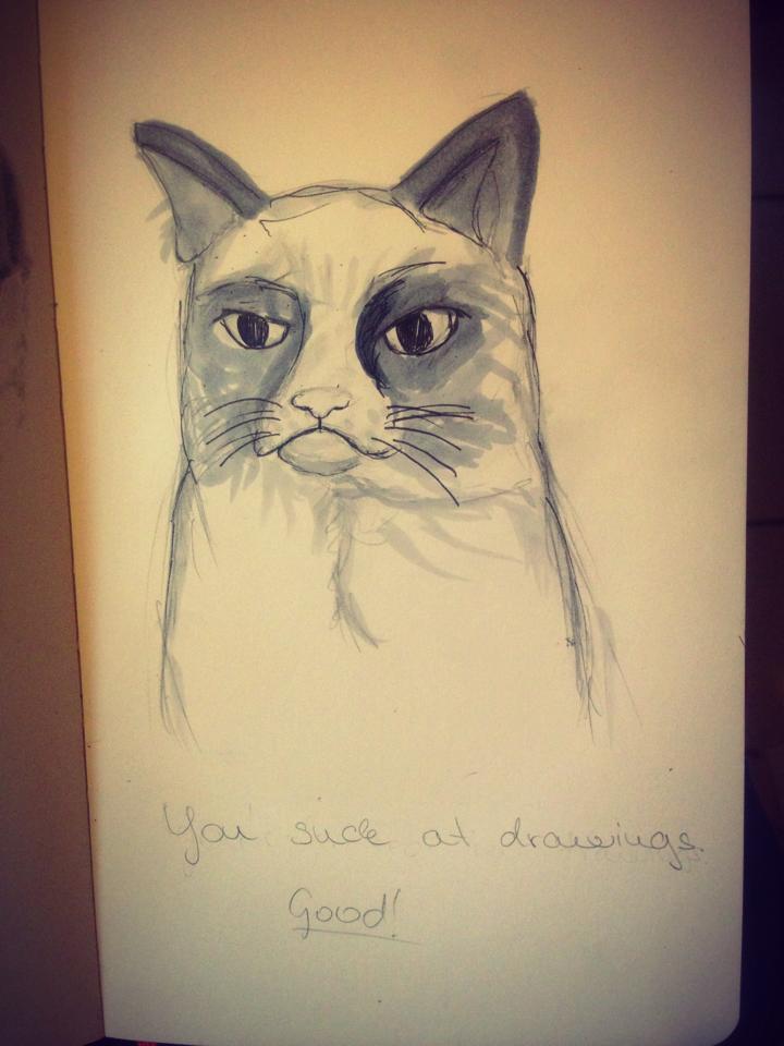 Grumpy Cat Study