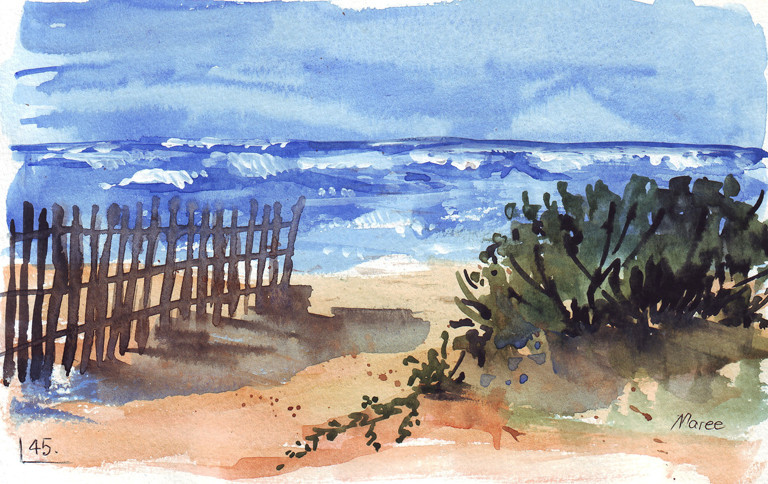 Beach fence