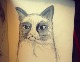 Grumpy Cat Sketch