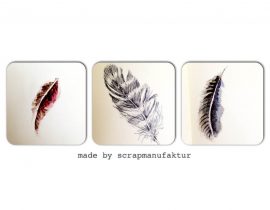 feathers