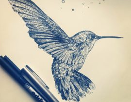 Hummingbird