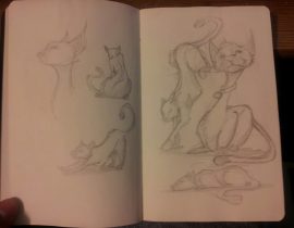 Cat Sketches