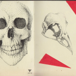 Skulls