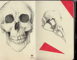 Skulls