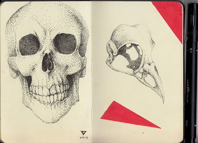 Skulls