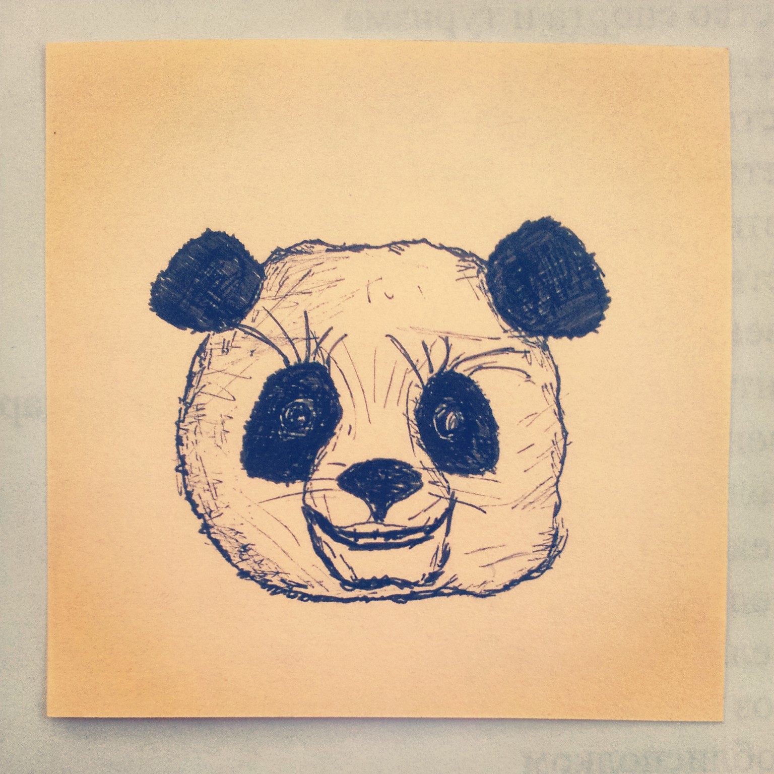 Panda