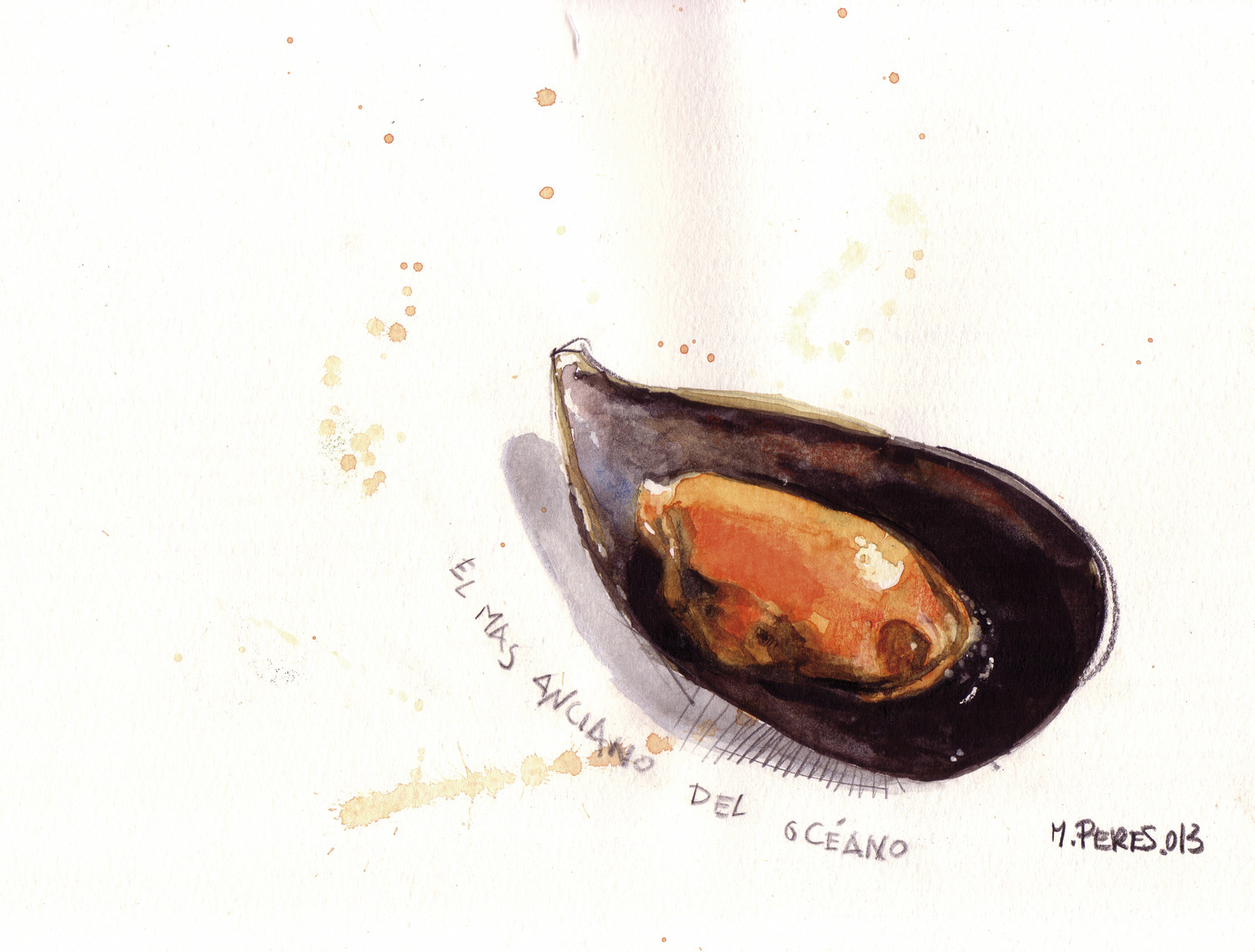 mussel