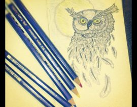 Fantasy Owl