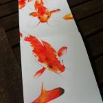 Koi