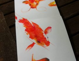 Koi