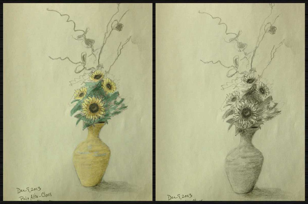 Sun Flowers Collage