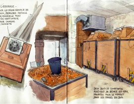 Drying nuts in the Lot in various sketches