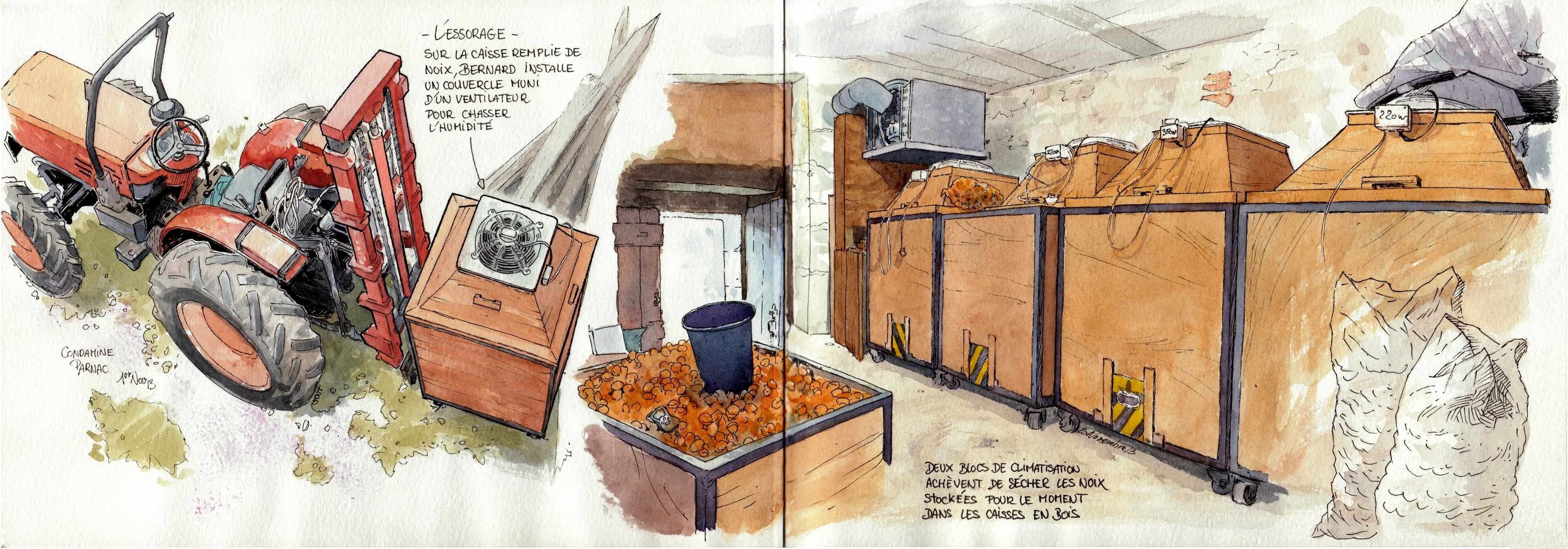 Drying nuts in the Lot in various sketches