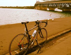 Under the bridge