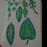 MOLESKINE GREEN DOODLES