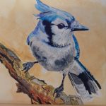 Bluejay on branch