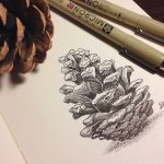 Pine Cone