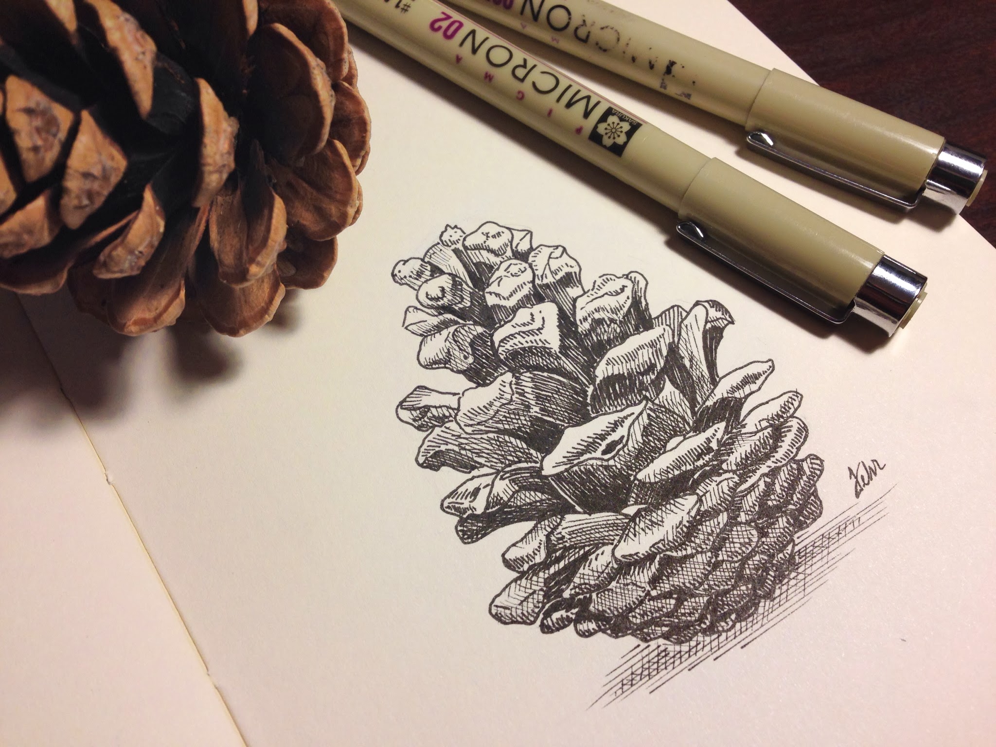 Pine Cone