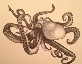 Octopus