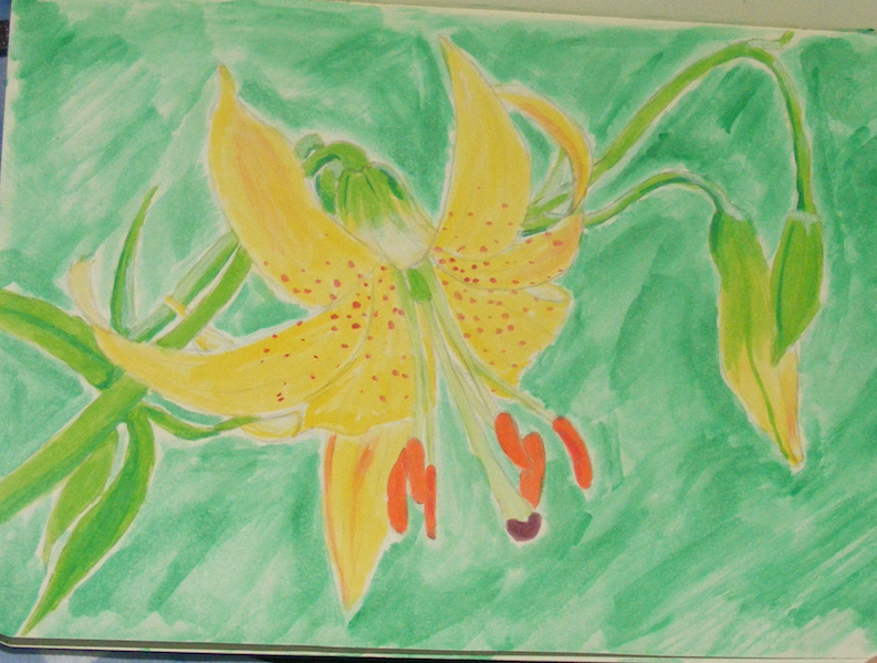 Yellow Lily