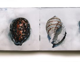 Three Seashells