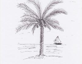 palm tree