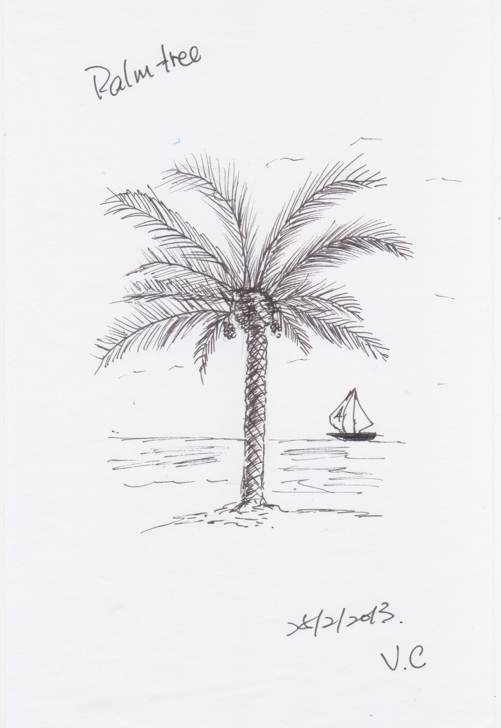 palm tree