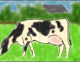 (Very Dutch) cow