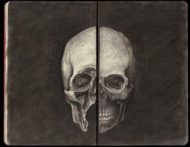 Study of Human Skull (Inspired by Leonardo da Vinci)