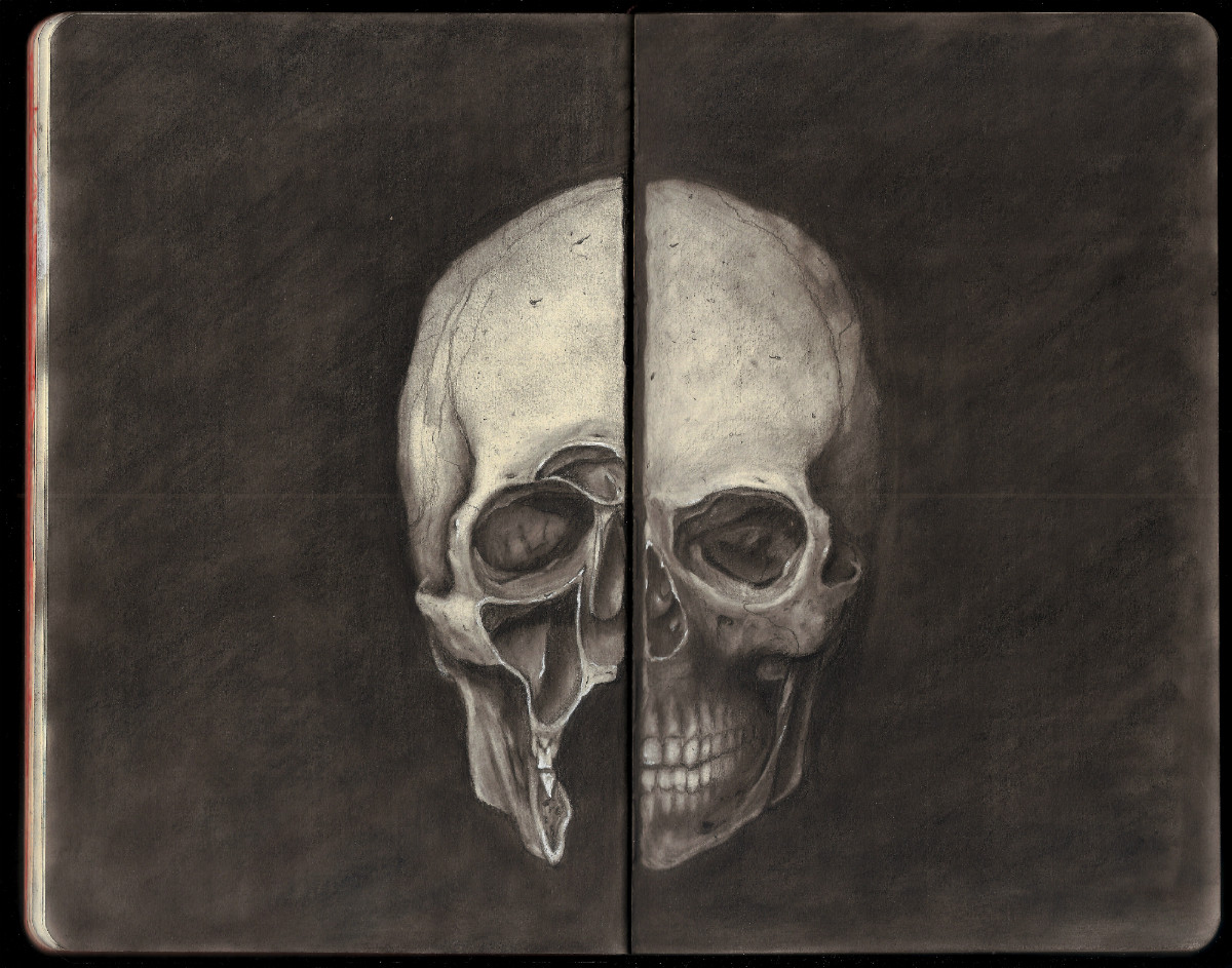 Study of Human Skull (Inspired by Leonardo da Vinci)