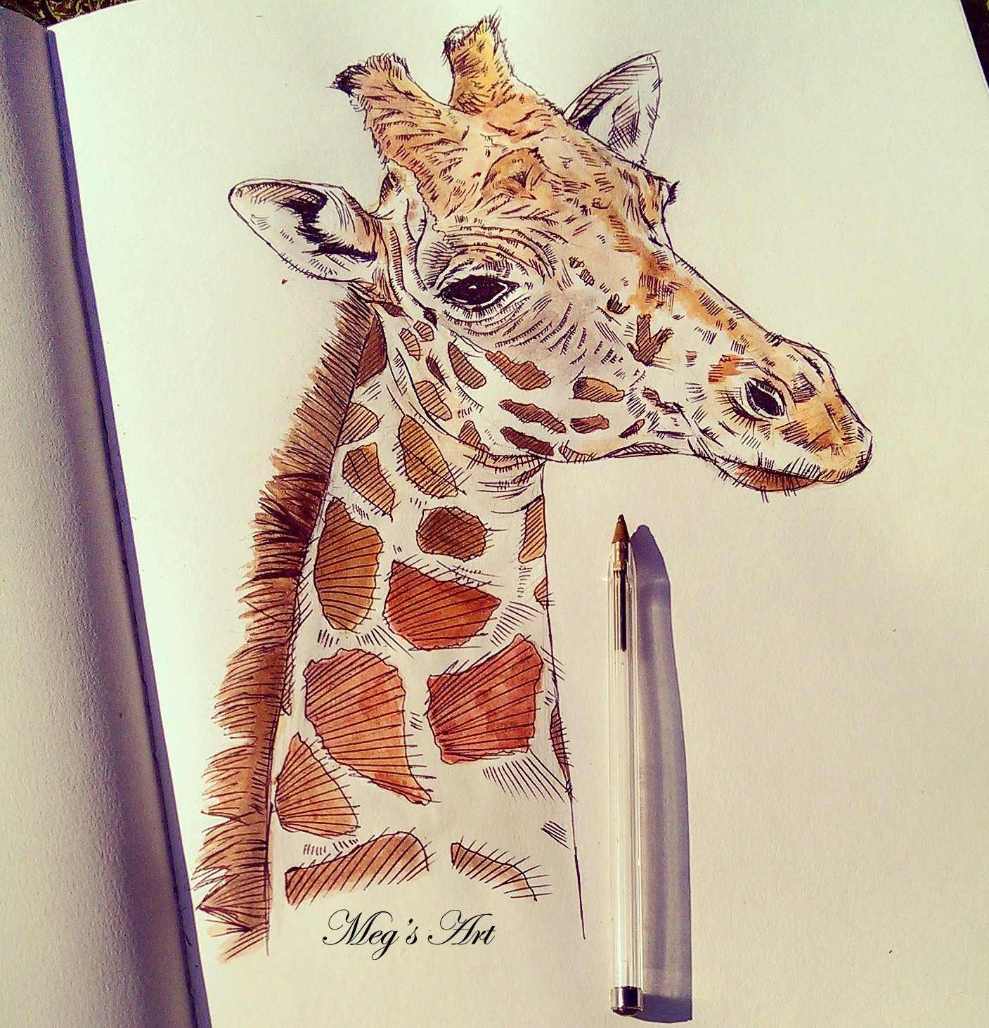 Giraffe