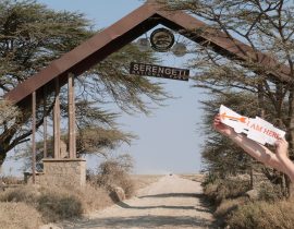 Serengeti Safari