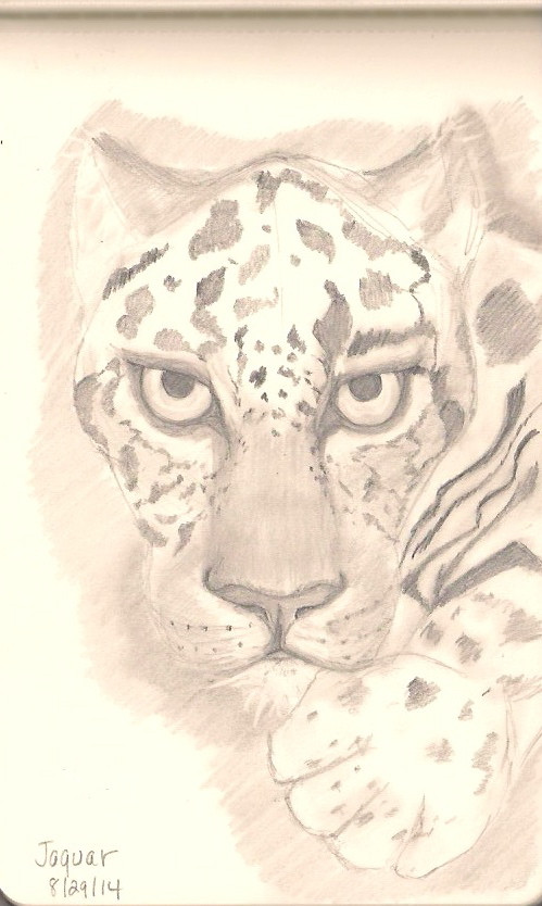 Jaguar