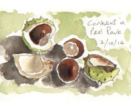 Conkers