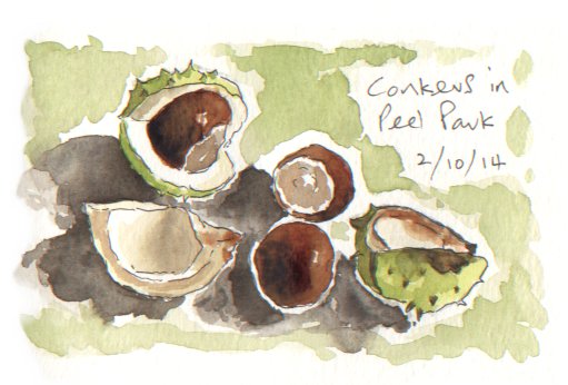 Conkers