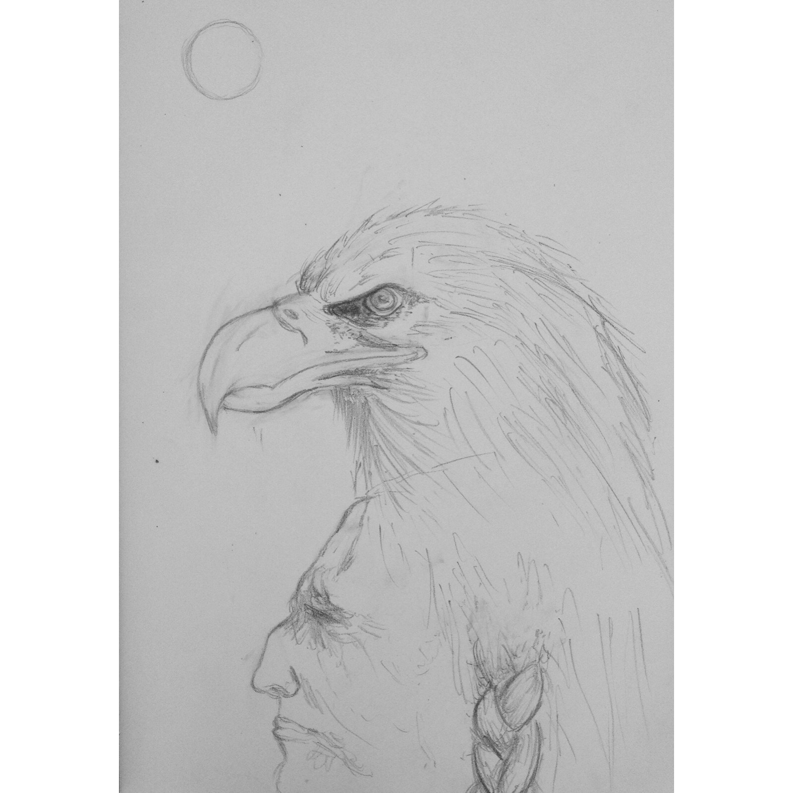 Indian eagle