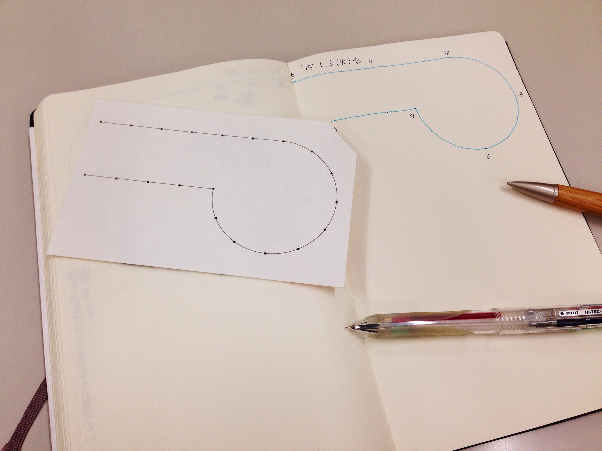 Timeline Template for My Dairy Log Molesukine